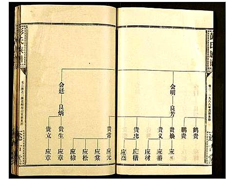 [彭]彭氏族谱 (湖北) 彭氏家谱_二十二.pdf