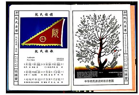 [阮]阮氏宗谱 (湖北) 阮氏家谱_二.pdf