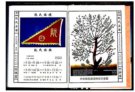 [阮]阮氏宗谱 (湖北) 阮氏家谱_四.pdf