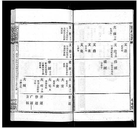 [阮]阮氏宗谱 (湖北) 阮氏家谱_九.pdf