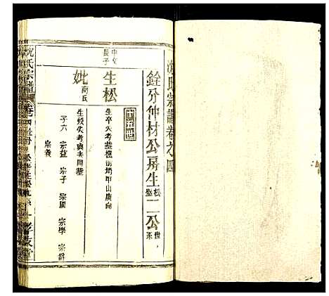 [沈]沈氏宗谱 (湖北) 沈氏家谱_十二.pdf