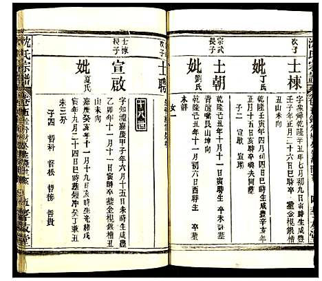 [沈]沈氏宗谱 (湖北) 沈氏家谱_十三.pdf