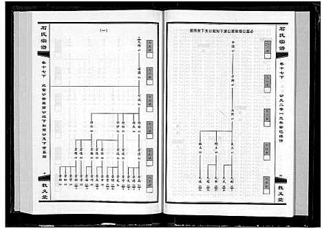 [石]石氏宗谱_30卷_含首2卷 (湖北) 石氏家谱_十九.pdf