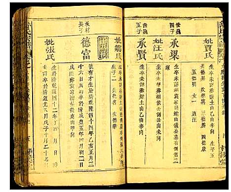 [舒]舒氏宗谱 (湖北) 舒氏家谱_九.pdf