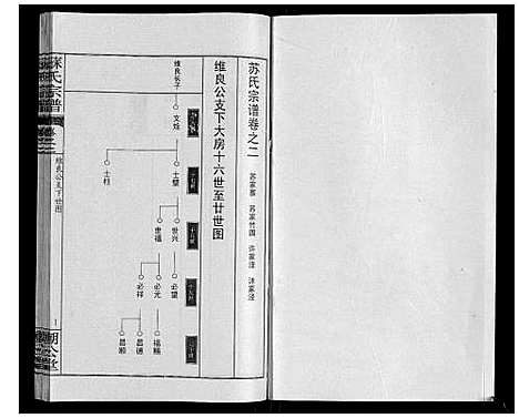 [苏]苏氏宗谱_20卷首3卷 (湖北) 苏氏家谱_五.pdf