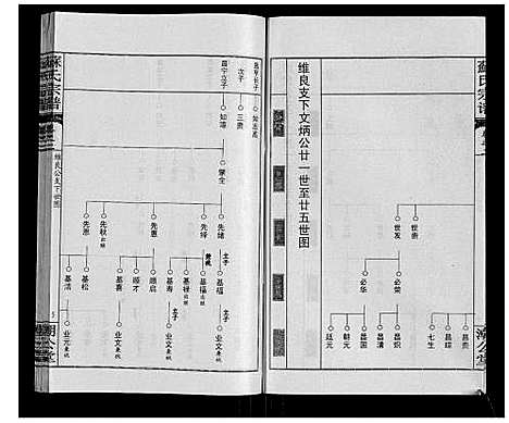 [苏]苏氏宗谱_20卷首3卷 (湖北) 苏氏家谱_五.pdf