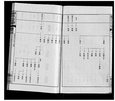 [苏]苏氏宗谱_20卷首3卷 (湖北) 苏氏家谱_六.pdf