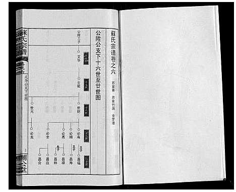 [苏]苏氏宗谱_20卷首3卷 (湖北) 苏氏家谱_九.pdf