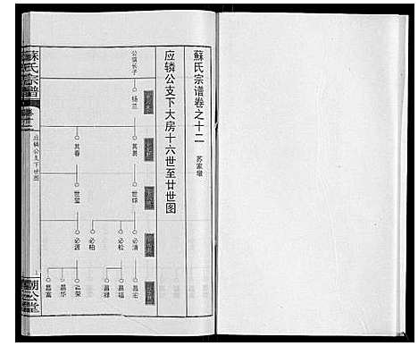 [苏]苏氏宗谱_20卷首3卷 (湖北) 苏氏家谱_十五.pdf