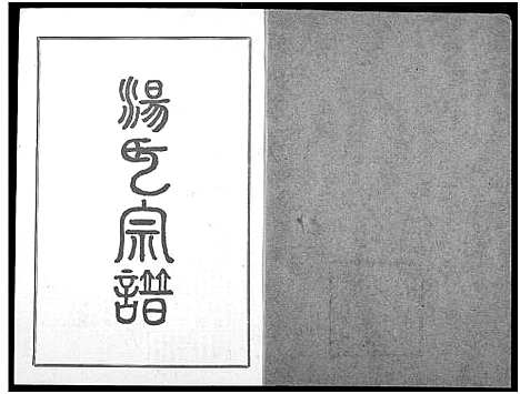 [汤]汤氏宗谱 (湖北) 汤氏家谱_十一.pdf