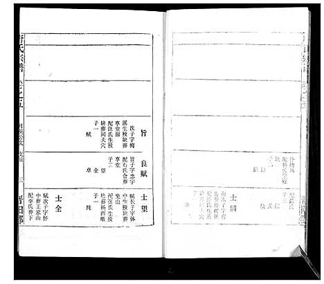 [唐]唐氏宗谱 (湖北) 唐氏家谱.pdf