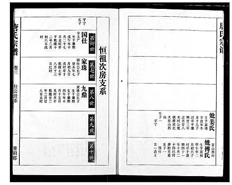 [唐]唐氏宗谱 (湖北) 唐氏家谱_四.pdf