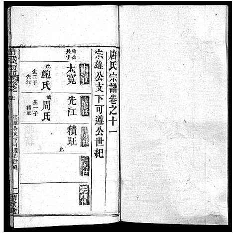 [唐]唐氏宗谱_12卷_卷1首-Tang Shi (湖北) 唐氏家谱_十一.pdf