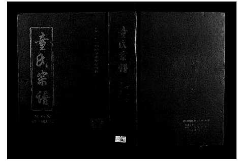 [童]童氏宗谱 (湖北) 童氏家谱_八.pdf