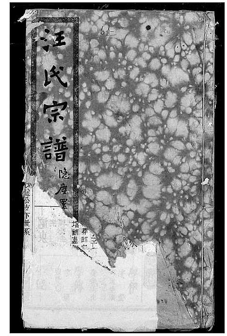 [汪]汪氏宗谱 (湖北) 汪氏家谱_八.pdf