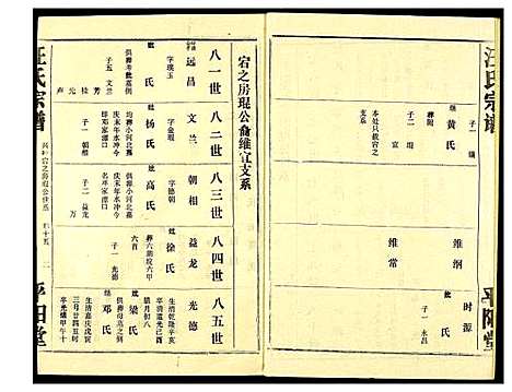 [汪]汪氏宗谱 (湖北) 汪氏家谱_九.pdf