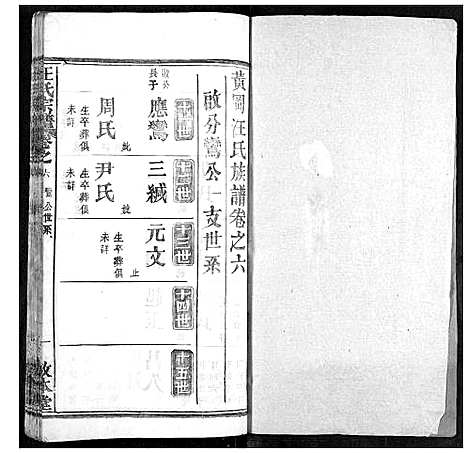 [汪]汪氏族谱 (湖北) 汪氏家谱_六.pdf