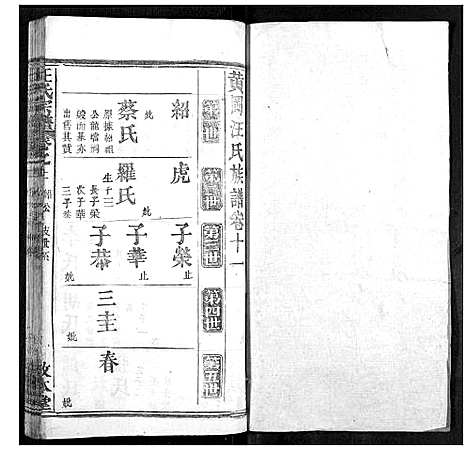 [汪]汪氏族谱 (湖北) 汪氏家谱_十一.pdf