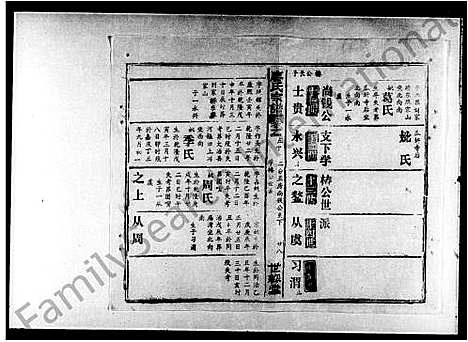 [汪]汪氏族谱_12卷首3卷 (湖北) 汪氏家谱_一.pdf