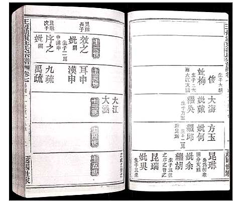 [汪]王母湖东汪氏宗谱 (湖北) 王母湖东汪氏家谱_八.pdf