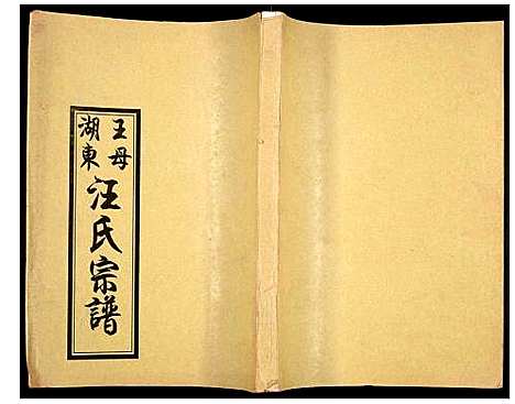 [汪]王母湖东汪氏宗谱 (湖北) 王母湖东汪氏家谱_十一.pdf