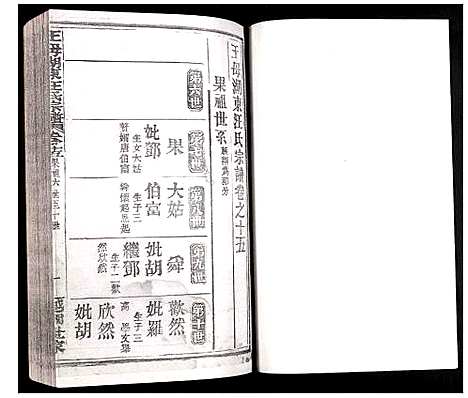 [汪]王母湖东汪氏宗谱 (湖北) 王母湖东汪氏家谱_十二.pdf