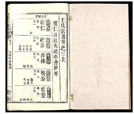 [王]王氏族谱_9卷首2卷 (湖北) 王氏家谱.pdf