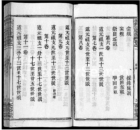 [王]王兴三宗谱_36卷 (湖北) 王兴三家谱_一.pdf