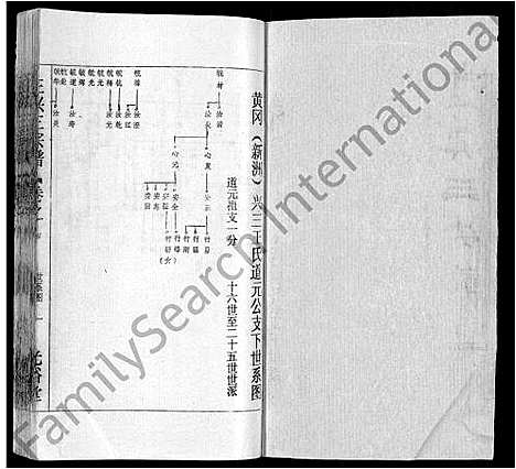 [王]王兴三宗谱_36卷 (湖北) 王兴三家谱_三十一.pdf