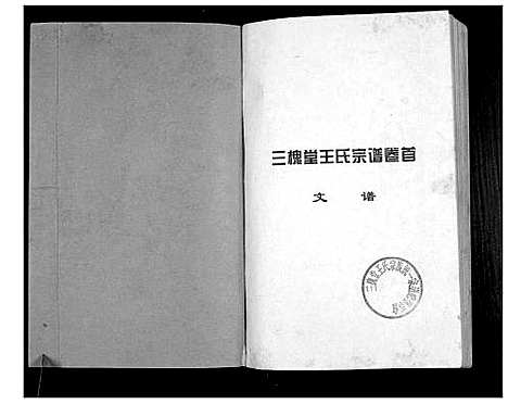 [王]澴州王氏宗谱_13卷首1卷 (湖北) 澴州王氏家谱_一.pdf