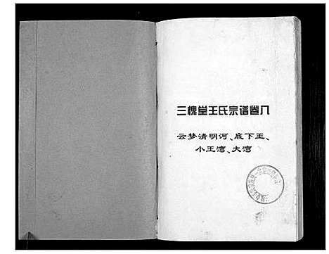 [王]澴州王氏宗谱_13卷首1卷 (湖北) 澴州王氏家谱_八.pdf