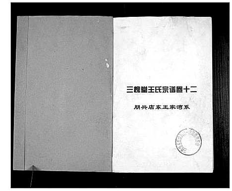 [王]澴州王氏宗谱_13卷首1卷 (湖北) 澴州王氏家谱_十二.pdf