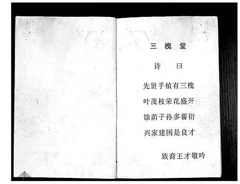 [王]澴州王氏宗谱_13卷首1卷 (湖北) 澴州王氏家谱_十二.pdf