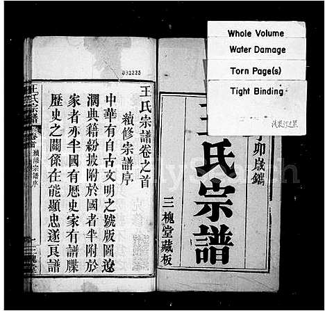 [王]王氏宗谱 (湖北) 王氏家谱.pdf