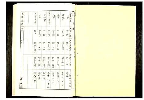 [王]王氏宗谱 (湖北) 王氏家谱_二.pdf