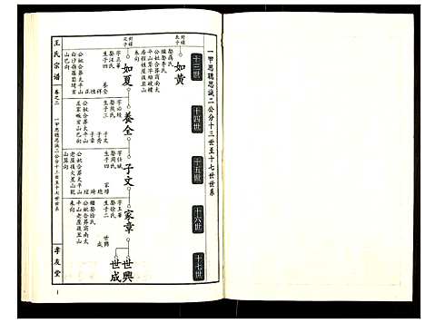 [王]王氏宗谱 (湖北) 王氏家谱_三.pdf