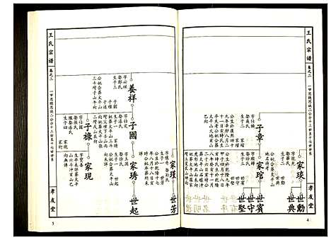 [王]王氏宗谱 (湖北) 王氏家谱_三.pdf