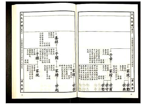 [王]王氏宗谱 (湖北) 王氏家谱_三.pdf