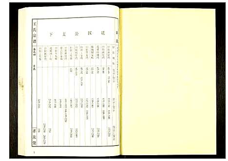 [王]王氏宗谱 (湖北) 王氏家谱_五.pdf