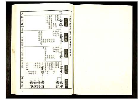 [王]王氏宗谱 (湖北) 王氏家谱_五.pdf