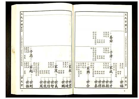 [王]王氏宗谱 (湖北) 王氏家谱_五.pdf