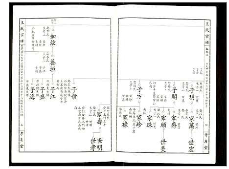 [王]王氏宗谱 (湖北) 王氏家谱_六.pdf