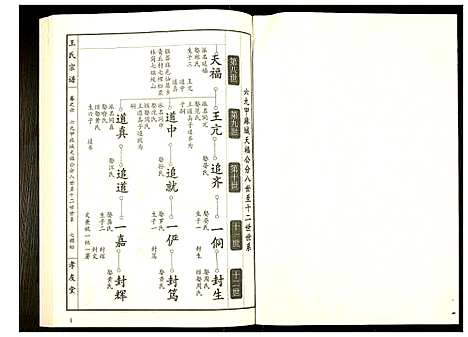 [王]王氏宗谱 (湖北) 王氏家谱_七.pdf