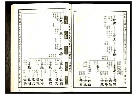 [王]王氏宗谱 (湖北) 王氏家谱_七.pdf