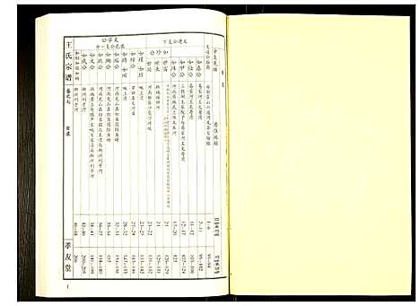 [王]王氏宗谱 (湖北) 王氏家谱_八.pdf