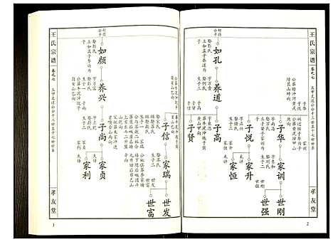 [王]王氏宗谱 (湖北) 王氏家谱_八.pdf