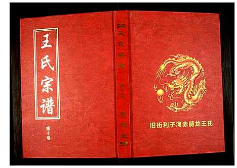 [王]王氏宗谱 (湖北) 王氏家谱_十一.pdf