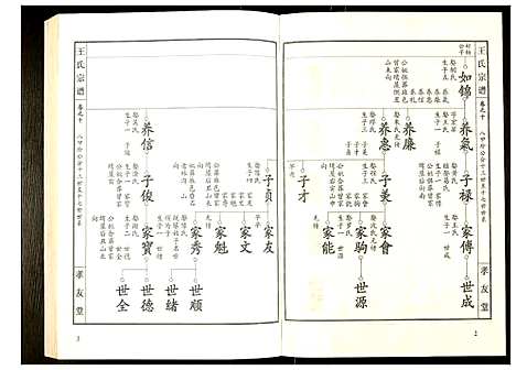 [王]王氏宗谱 (湖北) 王氏家谱_十一.pdf