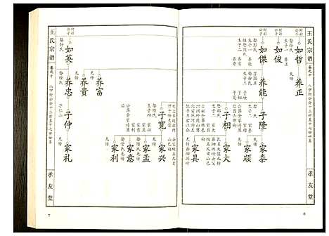 [王]王氏宗谱 (湖北) 王氏家谱_十一.pdf