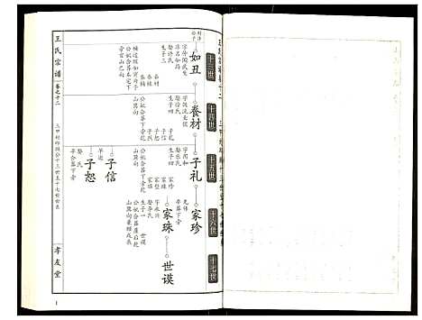 [王]王氏宗谱 (湖北) 王氏家谱_十三.pdf